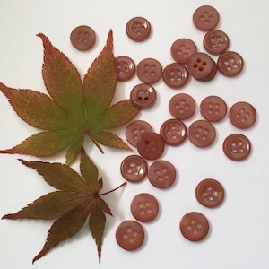 May include: A collection of 20 brown plastic buttons with four holes each. The buttons are arranged in a semi-circle on a white surface. There are two brown maple leaves in the background.