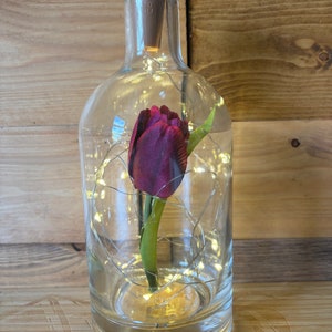 Op de afbeelding: Een heldere glazen fles met een kurkstop die een enkele rode tulp en een string witte lichtsnoeren bevat.