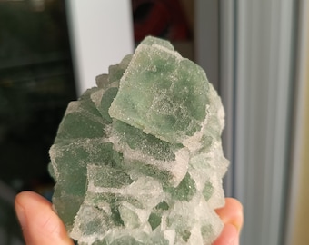 Puede incluir: Un grupo de cristales de fluorita verde con un aspecto esmerilado y cristalino. La fluorita tiene una estructura cúbica y se sostiene en una mano. El mineral tiene una calidad translúcida, con algunas áreas que parecen más opacas.
