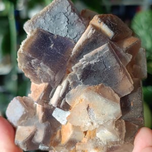May include: A close-up of a fluorite mineral specimen. The crystal cluster features cubic formations in shades of purple, grey, and tan. The specimen has a rough, textured appearance, with visible crystalline structures.