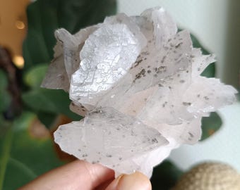 蛍光ホワイトローズカルサイト - Etsy 日本