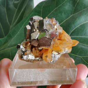 Könnte beinhalten: Ein Cluster aus Pyritkristallen mit goldener Farbe, auf einem klaren Acrylsockel platziert. Die Kristalle sind in einer natürlichen, organischen Form angeordnet, wobei einige der Kristalle teilweise in den Sockel eingebettet zu sein scheinen.