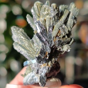 Może przedstawiać: Zbliżenie na okaz minerału z ciemnozielonymi i czarnymi kryształami. Kryształy ułożone są w promieniście, z metalicznym połyskiem. Minerał umieszczony jest na przezroczystym, prostokątnym podłożu. Tło jest rozmyte, z odcieniami zieleni.