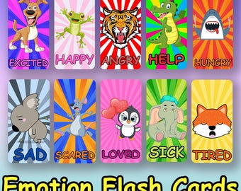 AAC Communication Emotion Flash Cards: Kids Speech Tool