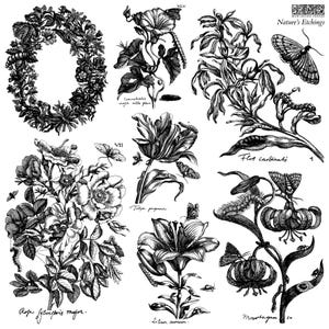 May include: A black and white botanical illustration featuring various flowers, butterflies, and botanical elements. The image includes a floral wreath, tulips, lilies, and other detailed plant drawings. The text "Nature's Etchings" is visible.