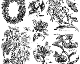 IOD Nature’s Etchings, Summer Release, 2 Sheet, 12 inch by 12 inch Stamps, Iron Orchid Designs Ships in 1-2 days!
