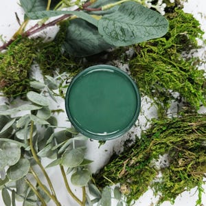 Paint Couture Evergreen Mineral Self Leveling Water Based Paint Acrylic paint Furniture paint, Cabinet paint, Craft Paint, Mixed Media