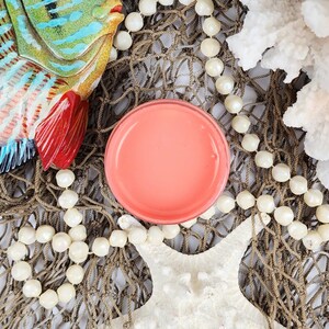 Paint Couture Caribbean Coral Mineral Self Leveling Water Based Paint Acrylic paint Furniture paint, Cabinet paint, Craft Paint, Mixed Media