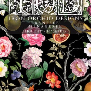 新着 Menagerie、IOD転写パッド、(8) 12 x 16シート、Iron Orchid Designs製、夏リリース、擦り付け家具転写デカール、鳥、花柄