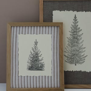 Puede incluir: Dos cuadros de pared con ilustraciones en tinta negra de árboles de hoja perenne sobre papel crema con bordes irregulares. El marco más pequeño tiene un fondo de tela a rayas beige y blanco, mientras que el marco más grande tiene un fondo de tela gris oscuro.