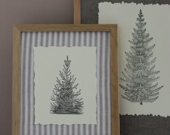 IOD Winter Grove Stamp • Iron Orchid Designs • 12×12 Evergreen Forest & Vintage Botanical Tree Stamp with Masks • Ships in 1–2 Days