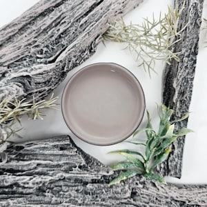 Paint Couture Driftwood Mineral Self Leveling Water Based Paint Acrylic paint Furniture paint, Cabinet paint, Craft Paint, Mixed Media