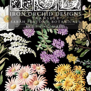 Sarah Featons botaniska ingredienser, rub-on transfer IOD Transfer (8) 8 x 12 tum PAD - Iron Orchid Designs