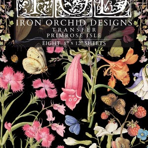 Könnte beinhalten: Schwarzer Hintergrund mit floralem Design mit rosa und orangefarbenen Blumen, Schmetterlingen und einem Frosch. Der Text "IRON ORCHID DESIGNS" und "PRIMROSE ISLE" ist sichtbar. Die Bögen messen 20,3 cm x 30,5 cm.