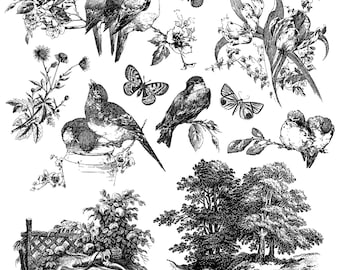 2026 IOD NEW Meadowlark Stamp, Iron Orchid Design, Spring Release, Ships same day or next!