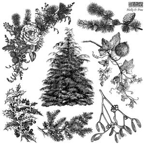 Puede incluir: Ilustración botánica en blanco y negro con varias plantas. La imagen incluye un árbol de Navidad, acebo, ramas de pino, una rosa y otro follaje. El texto "Holly & Pine" es visible en la esquina superior derecha.