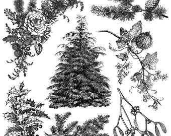 2025 IOD Holly & Pine Stamp, Iron Orchid Design, Christmas Holiday, Christmas Tree, Angels, Scroll Frame, Holly,  Holly and Pine, Wonderland