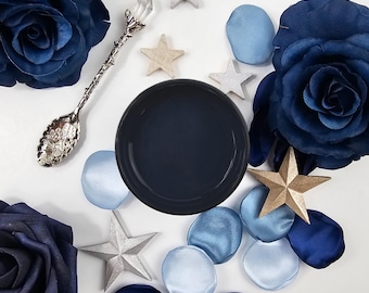 Night Sky Paint Couture Chalk Paint, Furniture Refinishing, Craft Supplies,