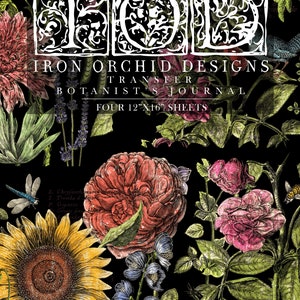 Botanist&#39;s Journal IOD 転写パッド (4) 12 x 16 シート付き Iron Orchid Designs 擦り付け家具転写デカール