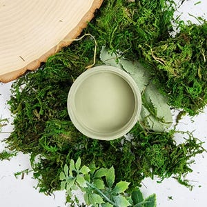 Paint Couture Vintage Moss Mineral Self Leveling Water Based Paint Acrylic paint Furniture paint, Cabinet paint, Craft Paint, Mixed Media