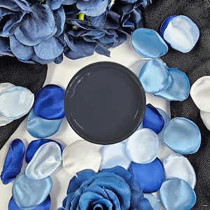 Paint Couture Abyss Mineral Self Leveling Water Based Paint Acrylic paint Furniture paint, Cabinet paint, Craft Paint, Mixed Media
