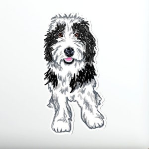 Sheepadoodle autocollant étanche bouvier bernois Goldendoodle Bernedoodle vinyle autocollant chien amant cadeau Labradoodle Doodle Doodle