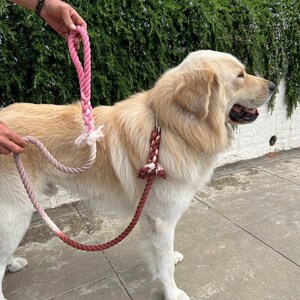 Ice Cream Cotton Rope Dog Leash American Made Hand Crafted Custom Pet Leash Dog Leash Gift Dog Lover New Puppy Dog Mom DIY Dye Ombré Leash