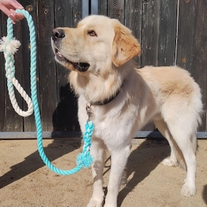 Turquoise Cotton Rope Dog Leash American Made Hand Crafted Custom Pet Leash Dog Leash Gift Dog Lover New Puppy Dog Mom DIY Dye Ombré Leash