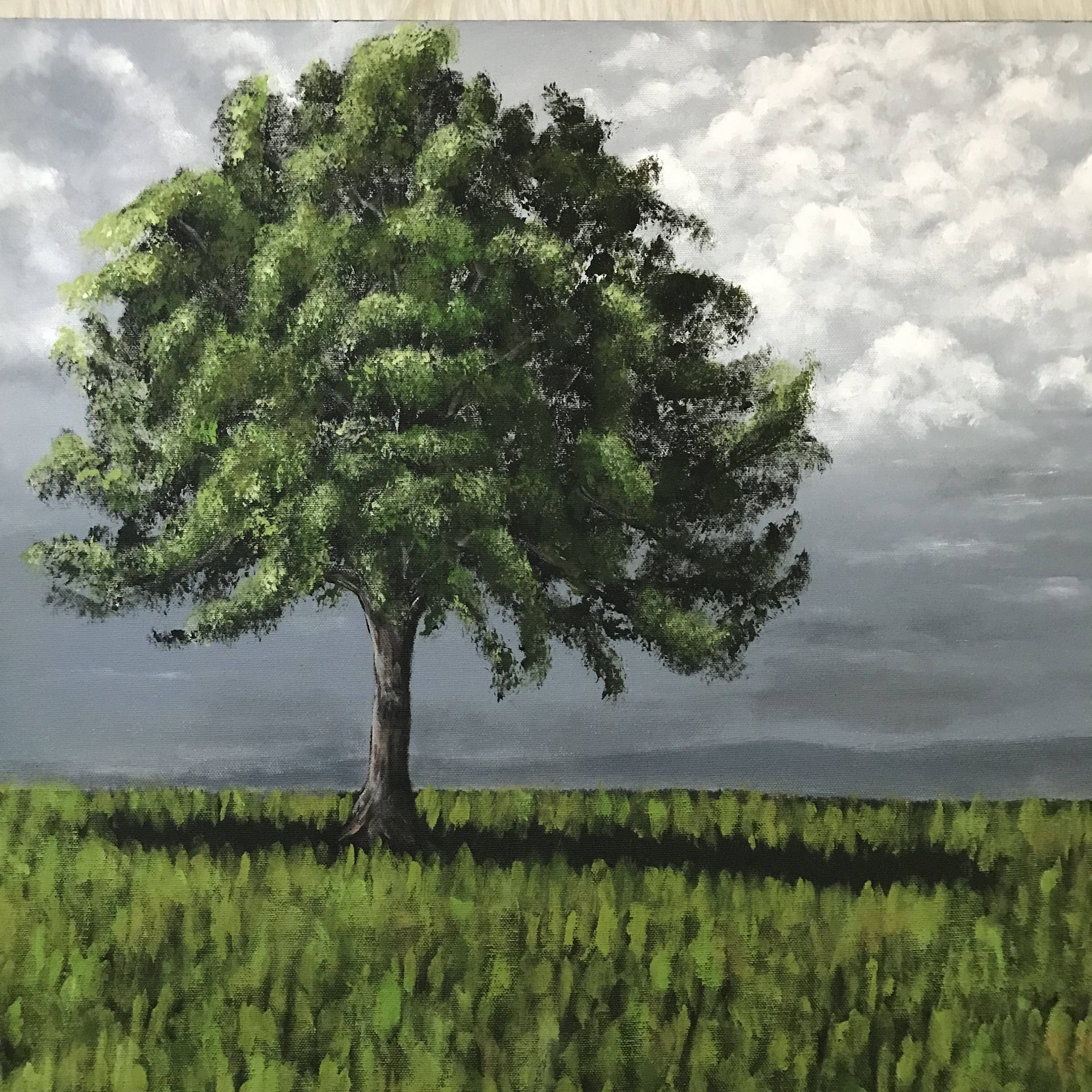 絵画 TREE Shadow Old Oak Tree Landscape Large Original Painting by Artist