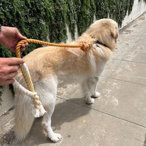 Magnolia Cotton Rope Dog Leash American Made Hand Crafted Custom Pet Leash Dog Leash Gift Dog Lover New Puppy Dog Mom DIY Dye Ombré Leash