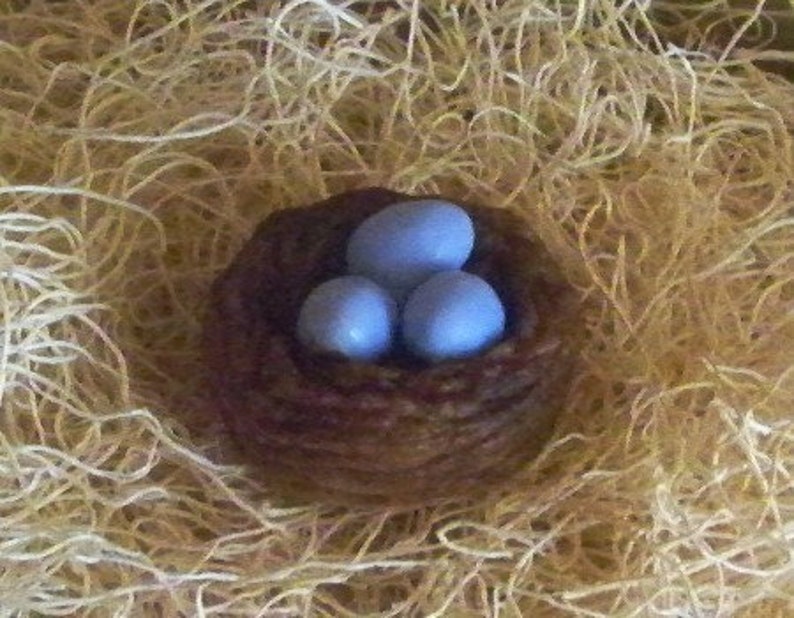 Op de afbeelding: Een klein bruin gevlochten vogelnest met drie lichtblauwe eieren erin.