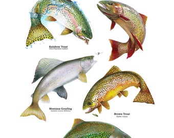 Póster de peces para pescadores con mosca