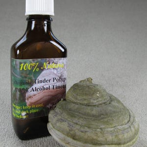 50 ml de teinture de champignons polypores sauvages sur l&#39;amadou / produit naturel / analogue de chaga et parent local du reishi + cadeau