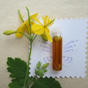 Liquid for warts and papillomas / wart remover