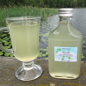 200ml natural fermented Birch Sap / Juice / from the wild forest of Latvia + gift!