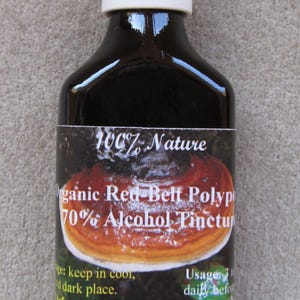 50 ml de teinture sauvage de champignons polypores de la ceinture rouge / produit naturel / analogue de chaga et parent local du reishi + cadeau