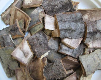 Corteccia di pioppo tremulo (dal tronco di un albero caduto) / Prodotto naturale / ecologia della foresta selvaggia + regalo!