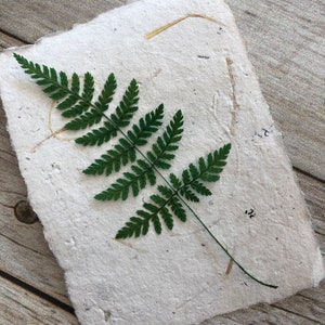 Handmade paper made with recycled paper, with a green pressed fern.