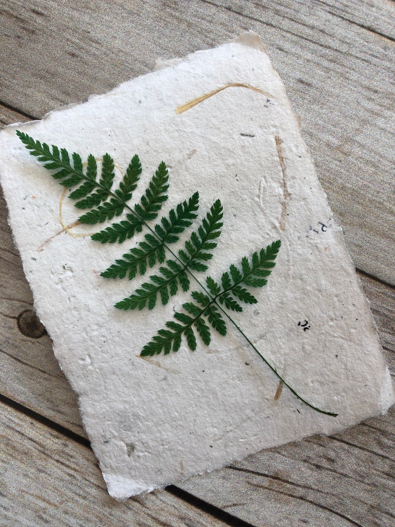 Handmade paper made with recycled paper, with a green pressed fern.