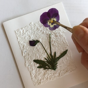 K&ouml;nnte beinhalten: Eine wei&szlig;e Karte mit einer gepressten violetten und gelben Stiefm&uuml;tterchen-Blume und gr&uuml;nen Bl&auml;ttern auf einem strukturierten wei&szlig;en Papierhintergrund.