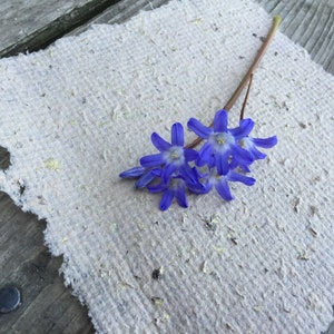 Homemade paper with purple flower.