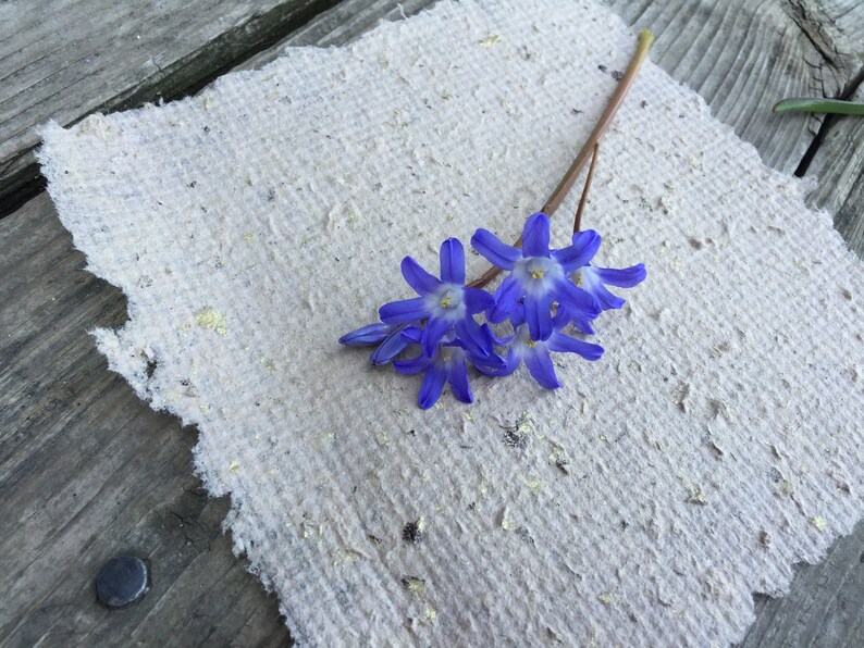 Homemade paper with purple flower.