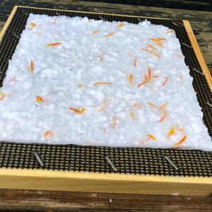 K&ouml;nnte beinhalten: Ein wei&szlig;es Blatt handgesch&ouml;pftes Papier mit eingebetteten orangefarbenen Bl&uuml;tenbl&auml;ttern, das auf einem schwarzen Maschendrahtgitter in einem Holzrahmen liegt.
