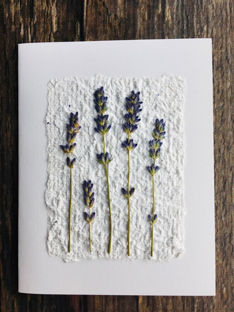 A handmade paper note card with pressed lavender.