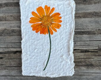 Decorative Magnets, Pressed Flower Art, Spring Nature Gift, Plant Mom Gift