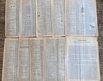 Webster's Dictionary Ephemera Paper Pack: 10 Aged Pages for Scrapbooking