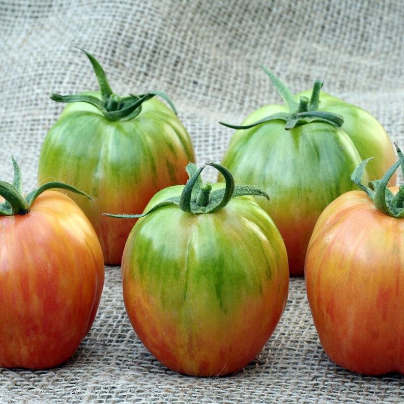 Tomato Seed - Certified Organic Non-GMO Seed from High Mowing Organic Seeds