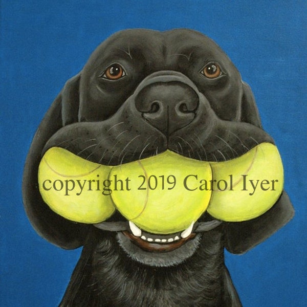 Black Labrador Dog Three Tennis Balls Fine Art Print Black Lab Art by Carol Iyer