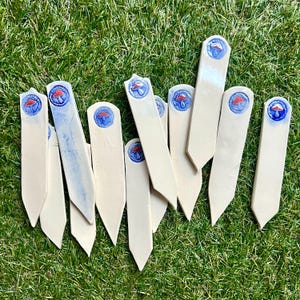 May include: A collection of off-white ceramic garden markers with a pointed end. Each marker features a blue and red mushroom design. The markers are arranged on a bed of green grass.