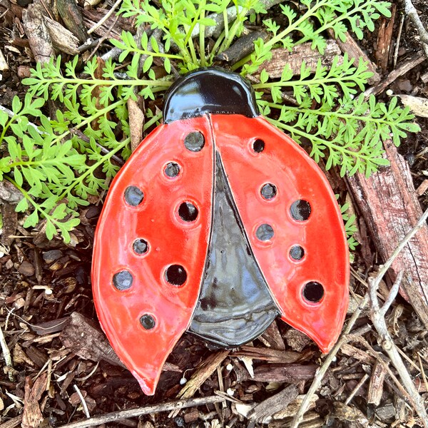 Handmade Ceramic Ladybug Dish Ladybug Plate Trinket Dish Plates Clay Art by Carol Iyer